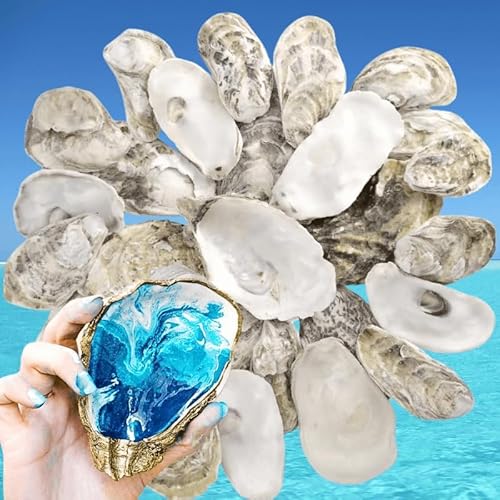 3"-4" Large Oyster Shell for Crafts -15PCS Real Natural Oyster Shells Bulk for Home Decor Vase Filler, Easter Decorations, DIY, Candle Making, Sea Shells for Crafting, Hand Made Gifts (3-4 Inch)