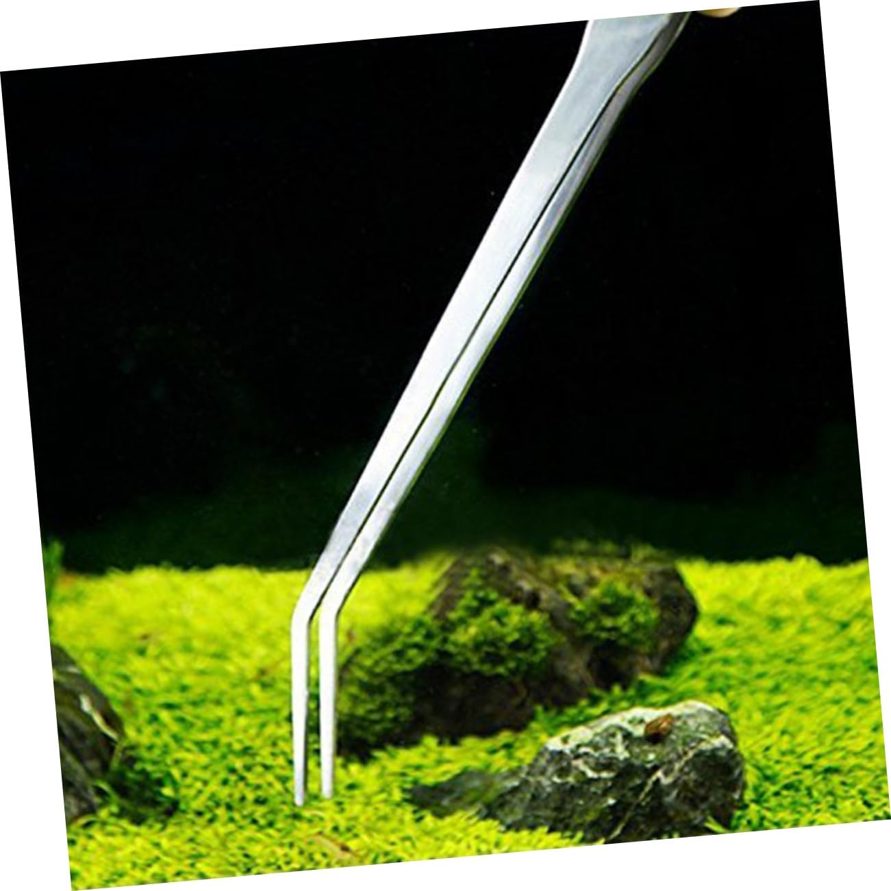 FOMIYES 3pcs Stainless Steel Curved Tip Tweezers for Aquatic Plants Ergonomic Fish Tank Plant Tongs for Easy Trimming and Maintenance of Aquarium Flora