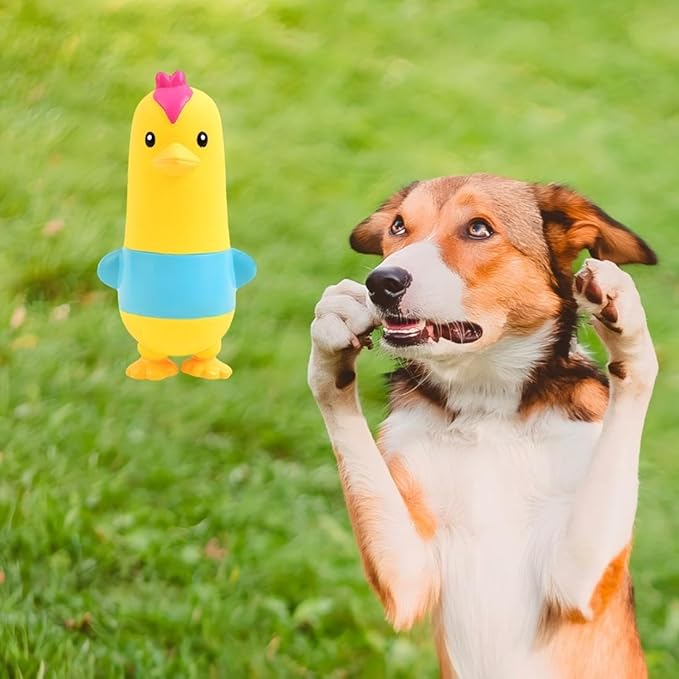 Juguete de Látex con Chirriador para Perros Pequeños y Medianos - Diseño de Gallina miniatura 8