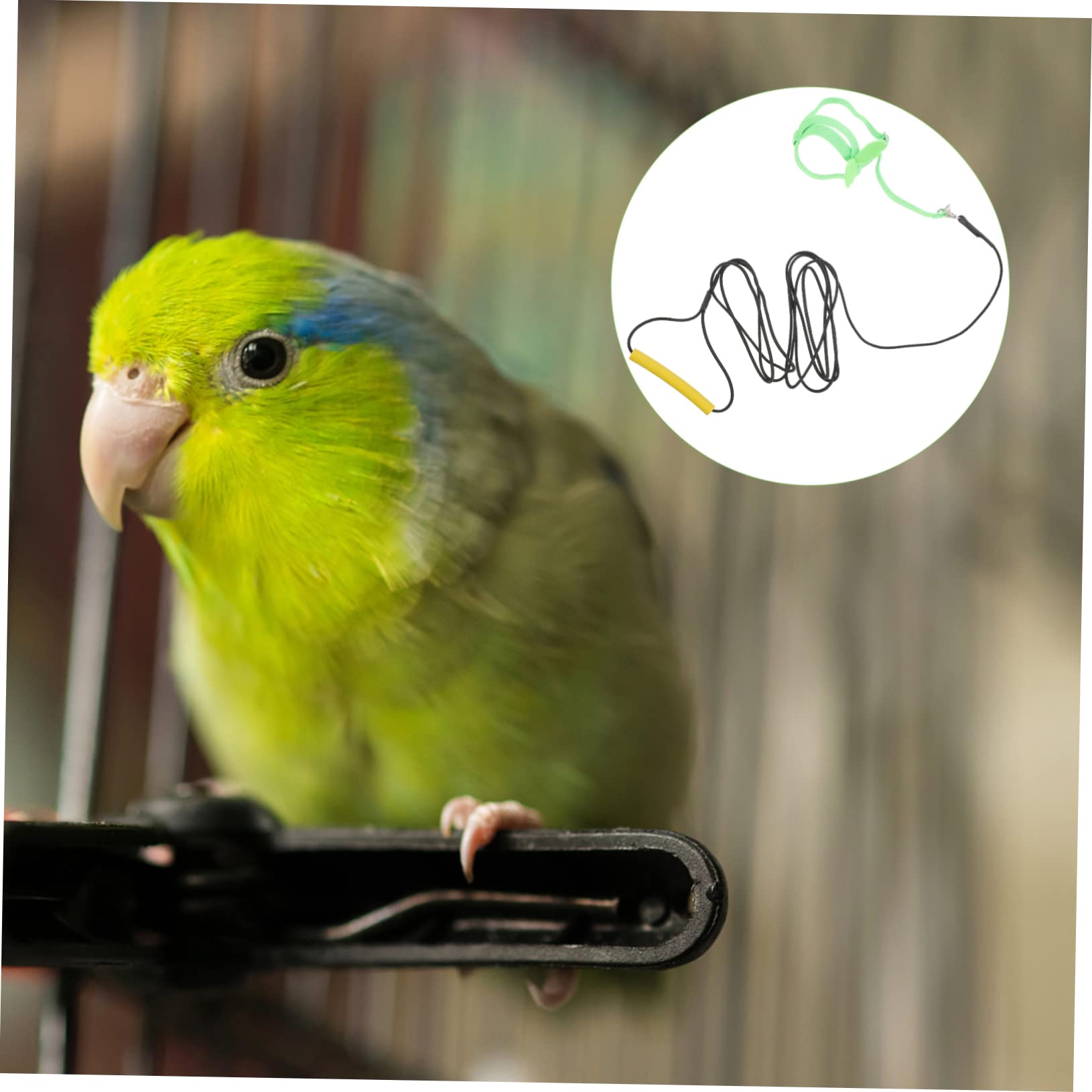 Mipcase 1pc Parrot Harness Leash Bird Flying Harness Traction Rope for Outdoor Pet Leash