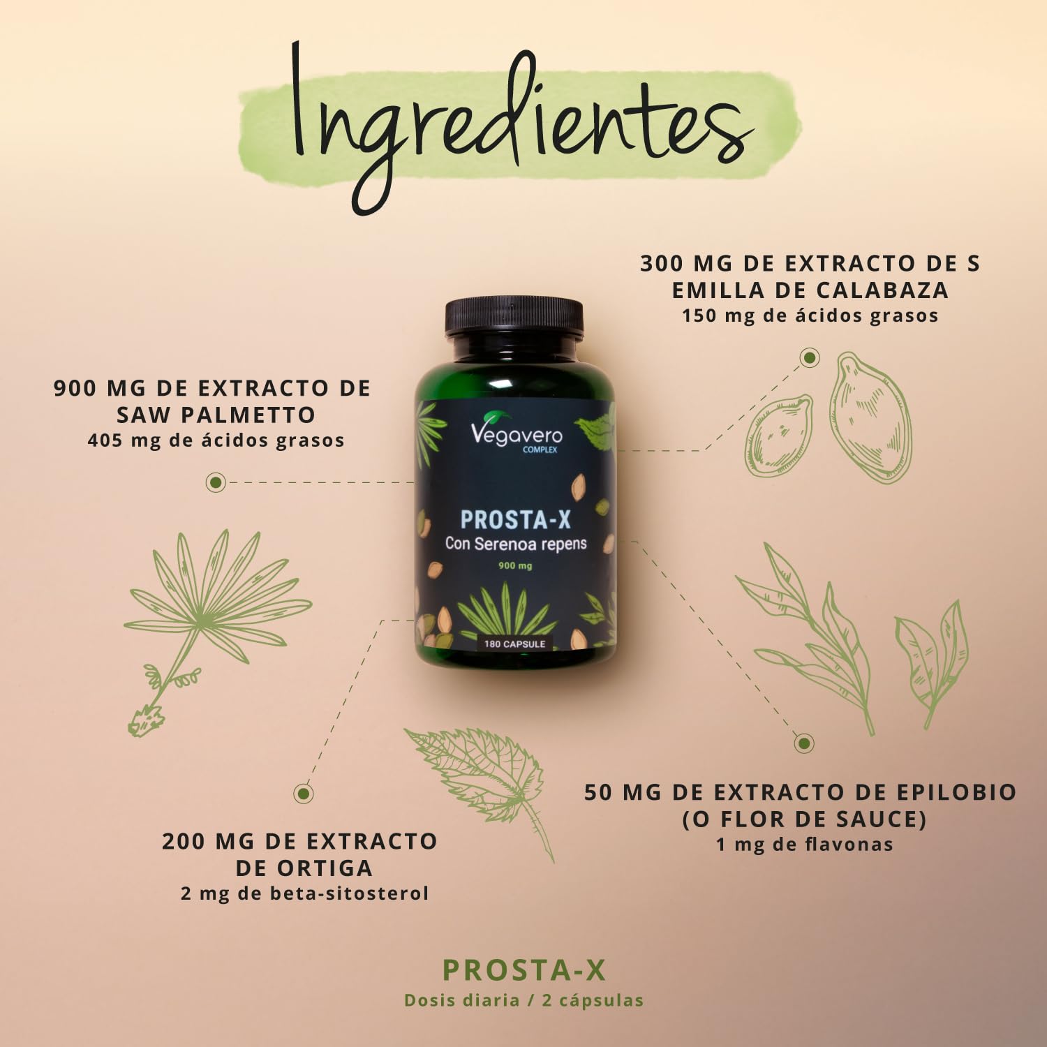 Apoyo Próstata Vegavero | Saw Palmetto 900 mg | Extracto 20:1 | 180 Cápsulas | Con Ortiga Verde, Sauzgatillo, Calabaza | Salud Vías Urinarias | Vegano
