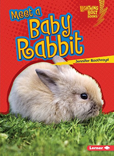 Meet a Baby Rabbit (Lightning Bolt Books ® ― Baby Farm Animals)