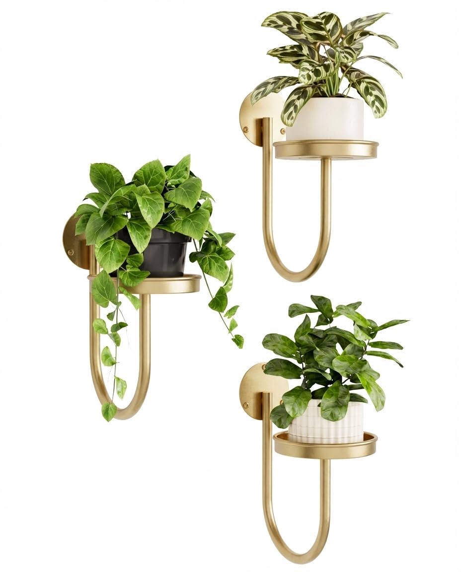 Bamworld Wall Plant Holder 3-Pack