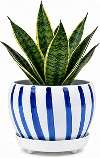 Folkulture Metal Planters for Indoor Plants with Drainage Hole and Saucer |5 X 4 Inch Plant Pots for Indoor Plant for Hom...