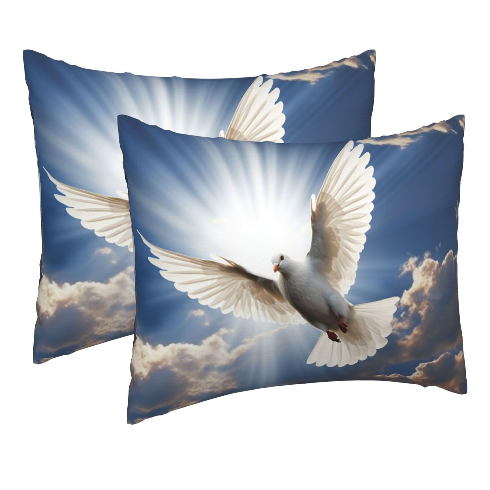 2 Pack Pillow Cases with Hidden Zipper, Soft Breathable Pillow Covers for Hair and Skin, Dove Sky Pillowcases 16"x20" Bed Pillow Protectors Cover for Sleeping Gifts