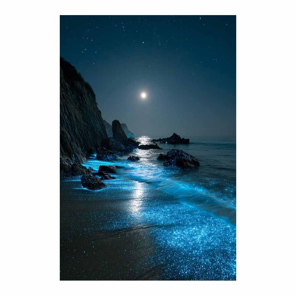 HOQIU Wall art for home decor Bioluminescent Night Shore canvas artwork for wall, art prints, For living room, bedroom, bathroom, dining room, painting and decor.(Multicolor)-80x120cm Unframed