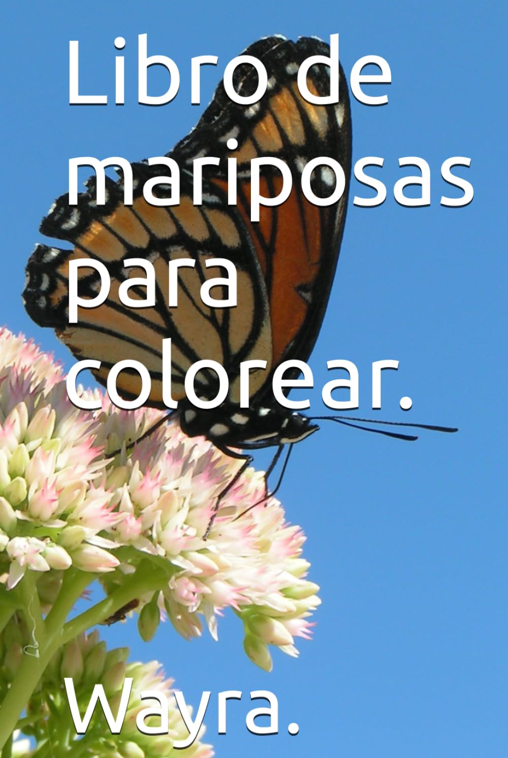 Libro de mariposas para colorear.