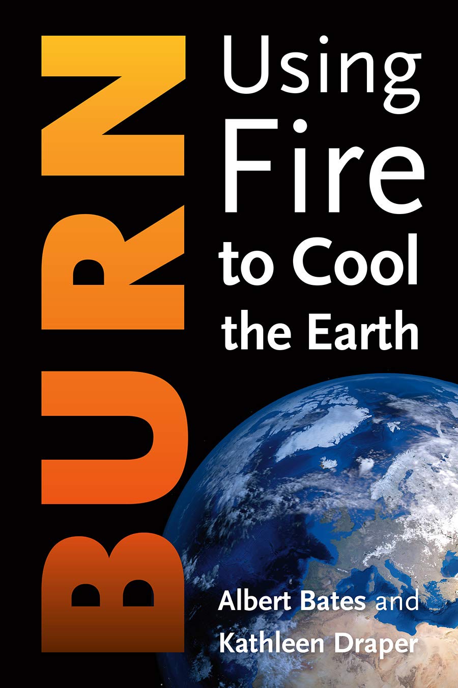 Buy Burn: Igniting a New Carbon Drawdown Economy to End the Climate Crisis: Using Fire to Cool the Earth — BookShops.in