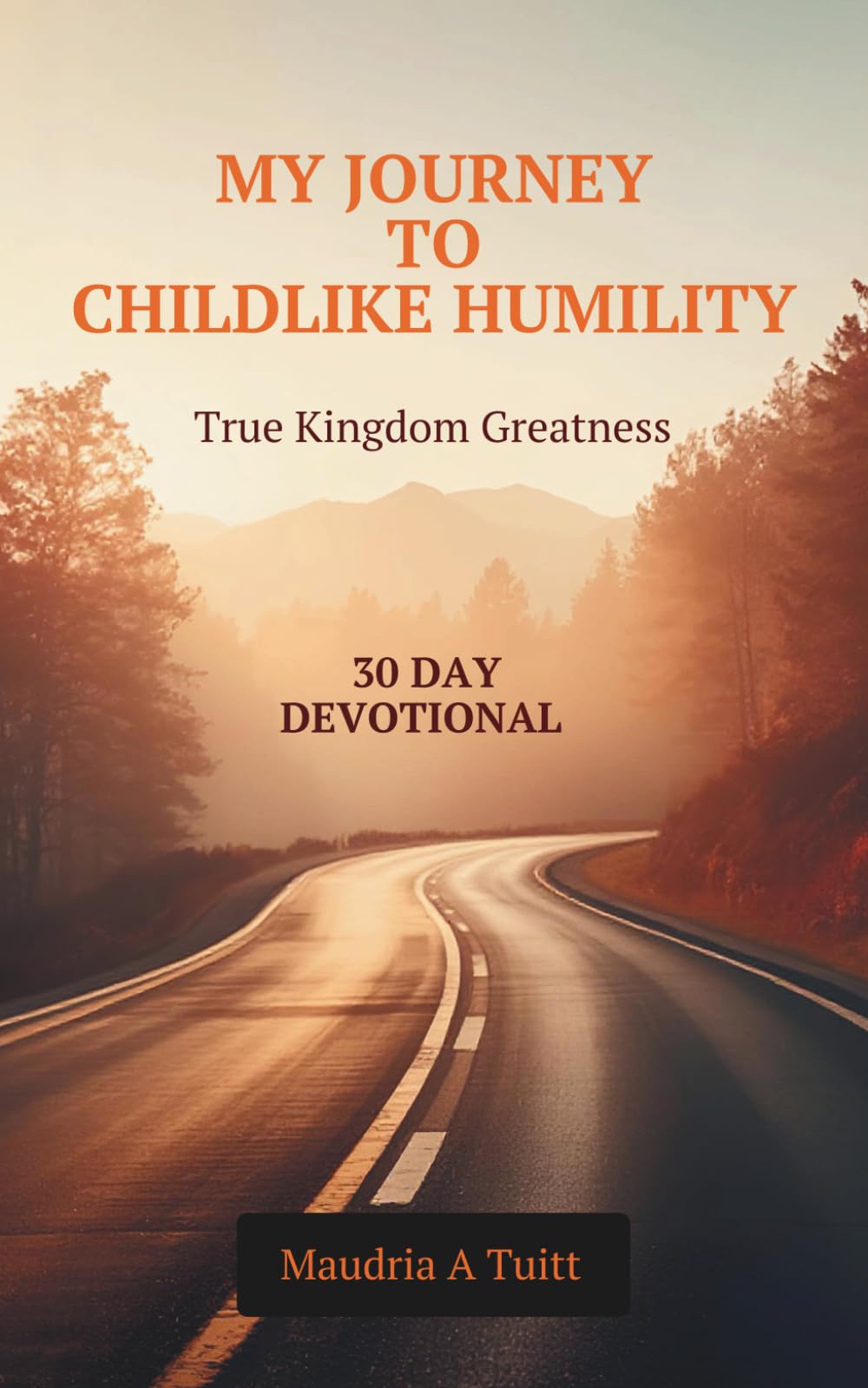 MY JOURNEY TO CHILDLIKE HUMILITY: True Kingdom Greatness