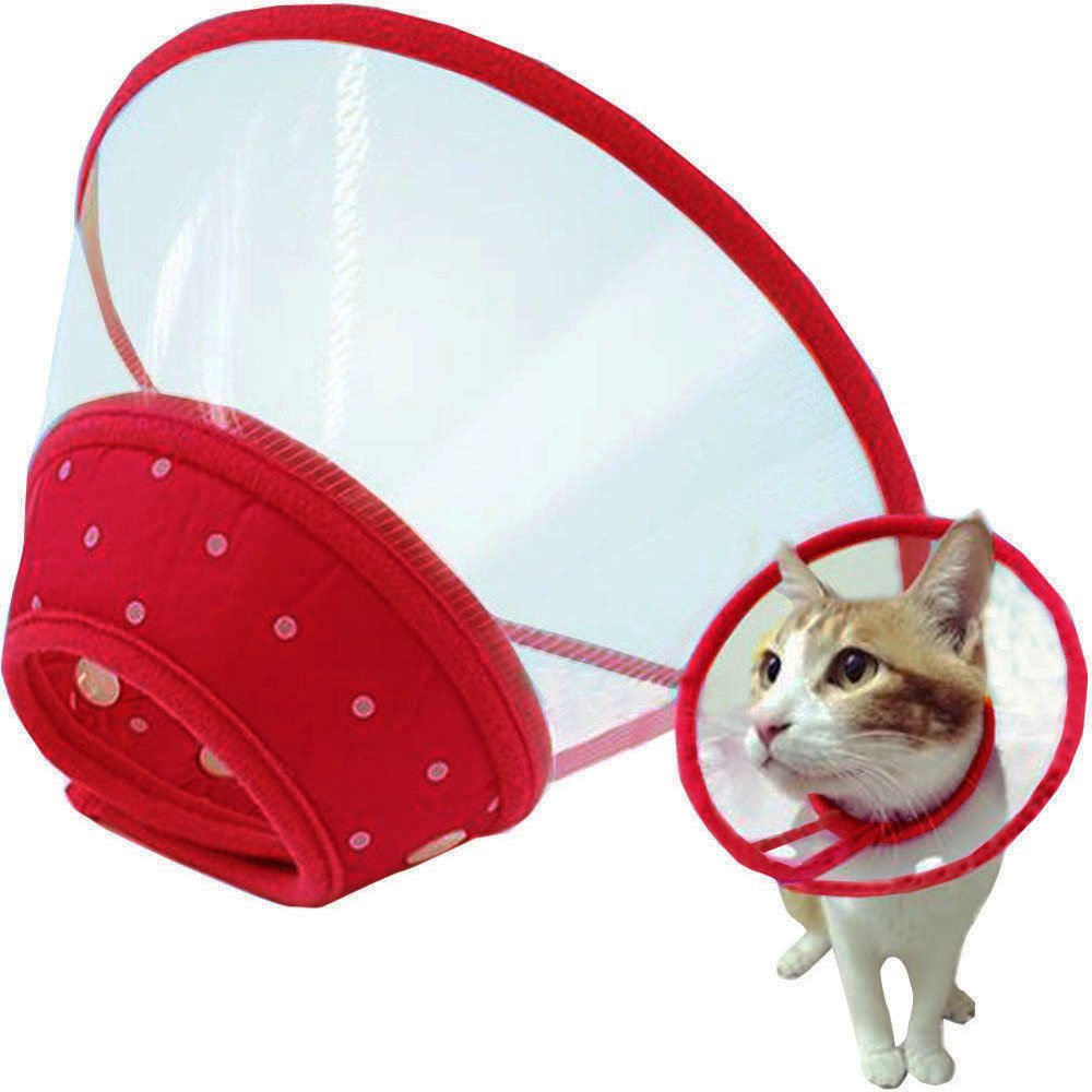 Bolbove Pet Plastic Clear Cone Recovery E-Collar with Dots Design Soft Edge for Small Dogs &amp; Cats (Medium, Red)