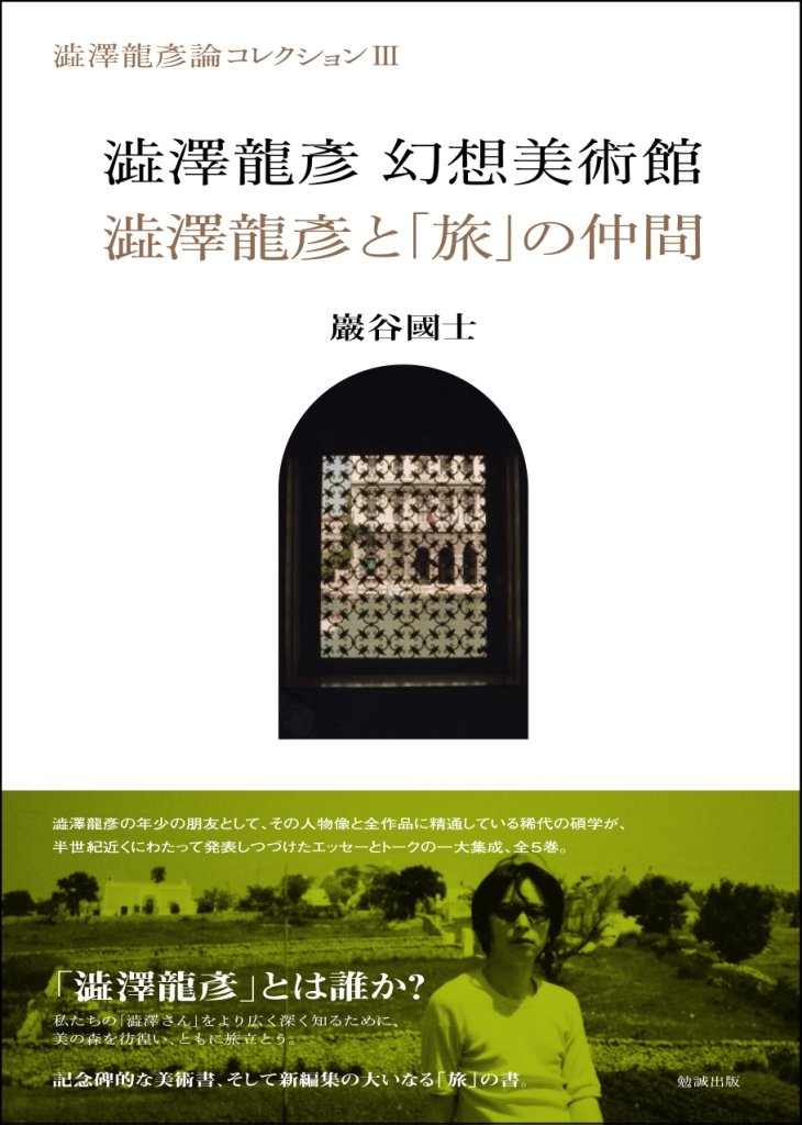Amazon.co.jp: 澁澤龍彥 幻想美術館/澁澤龍彥と「旅」の仲間 (澁澤龍彦