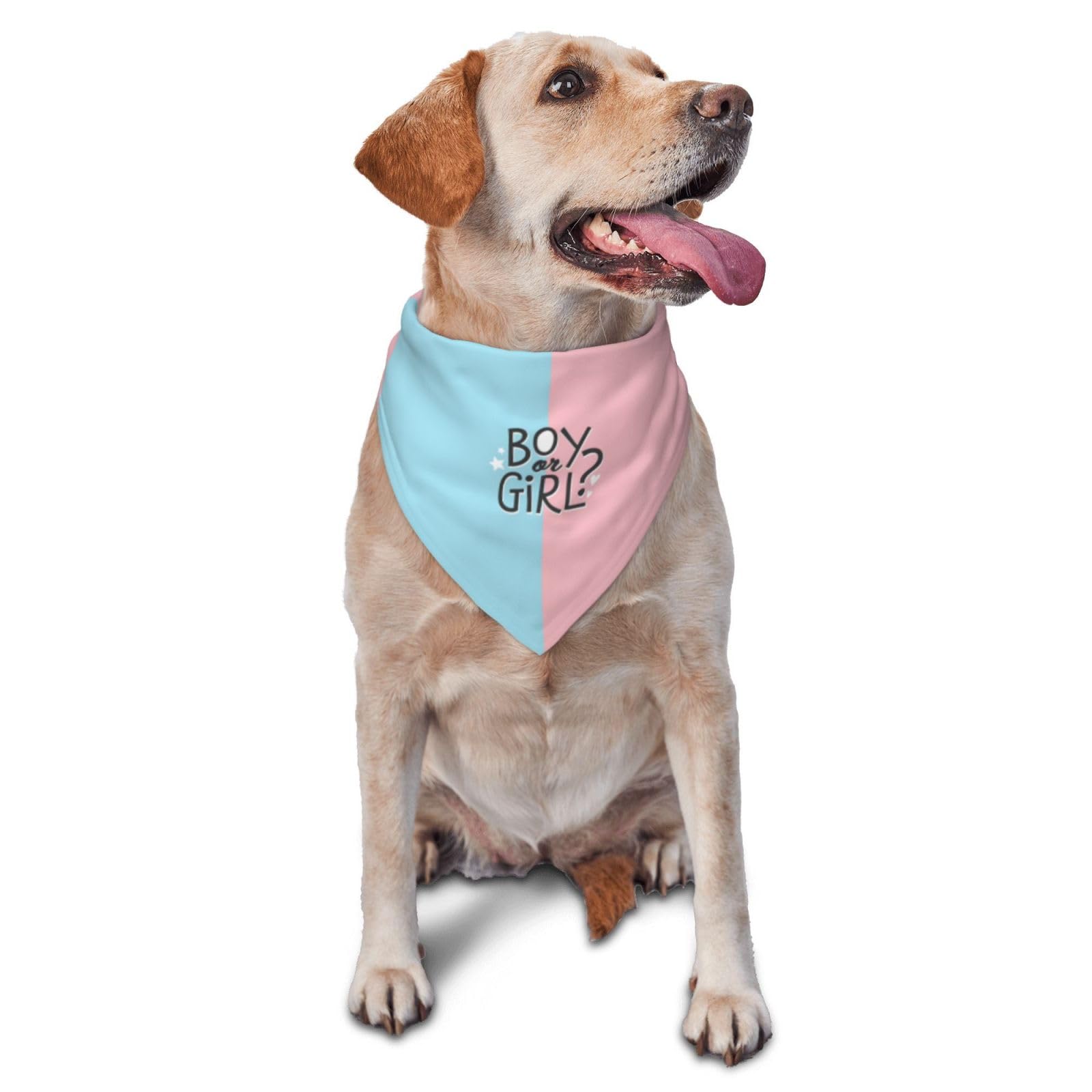vercosee He Or She What Will It Be? Gender Reveal/Baby Announcement Dog Bandana,Pet Neckerchief for Pets Daily Wear Photo Prop Party Supplies (boy or Girl-1)