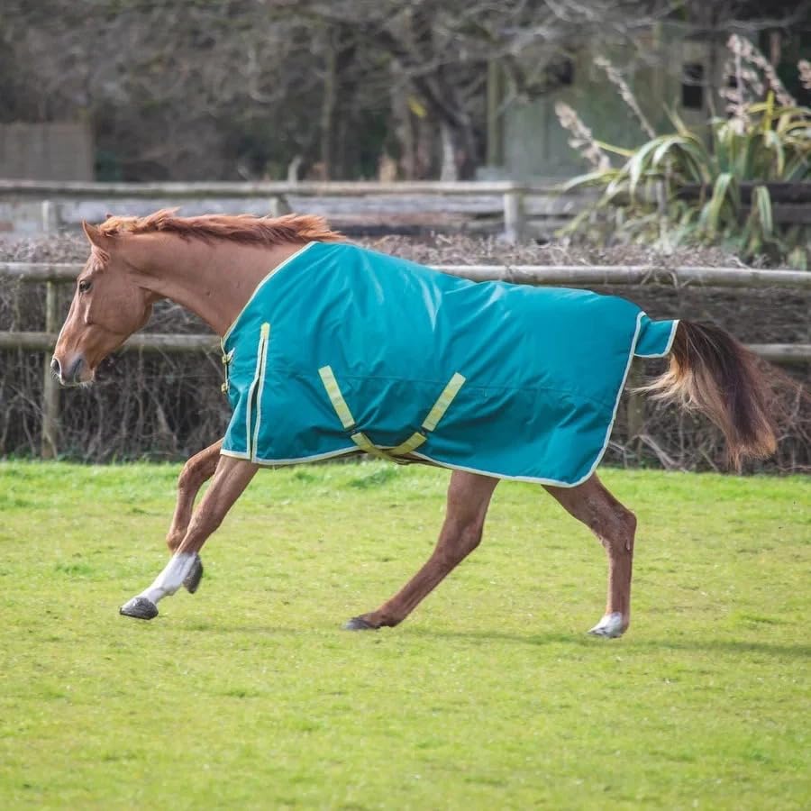 Horse Masters Shires Bridleway Ontario 100g Turnout Rug | Lightweight Waterproof Horse Rug | Breathable Autumn & Mild Winter Turnout Blanket