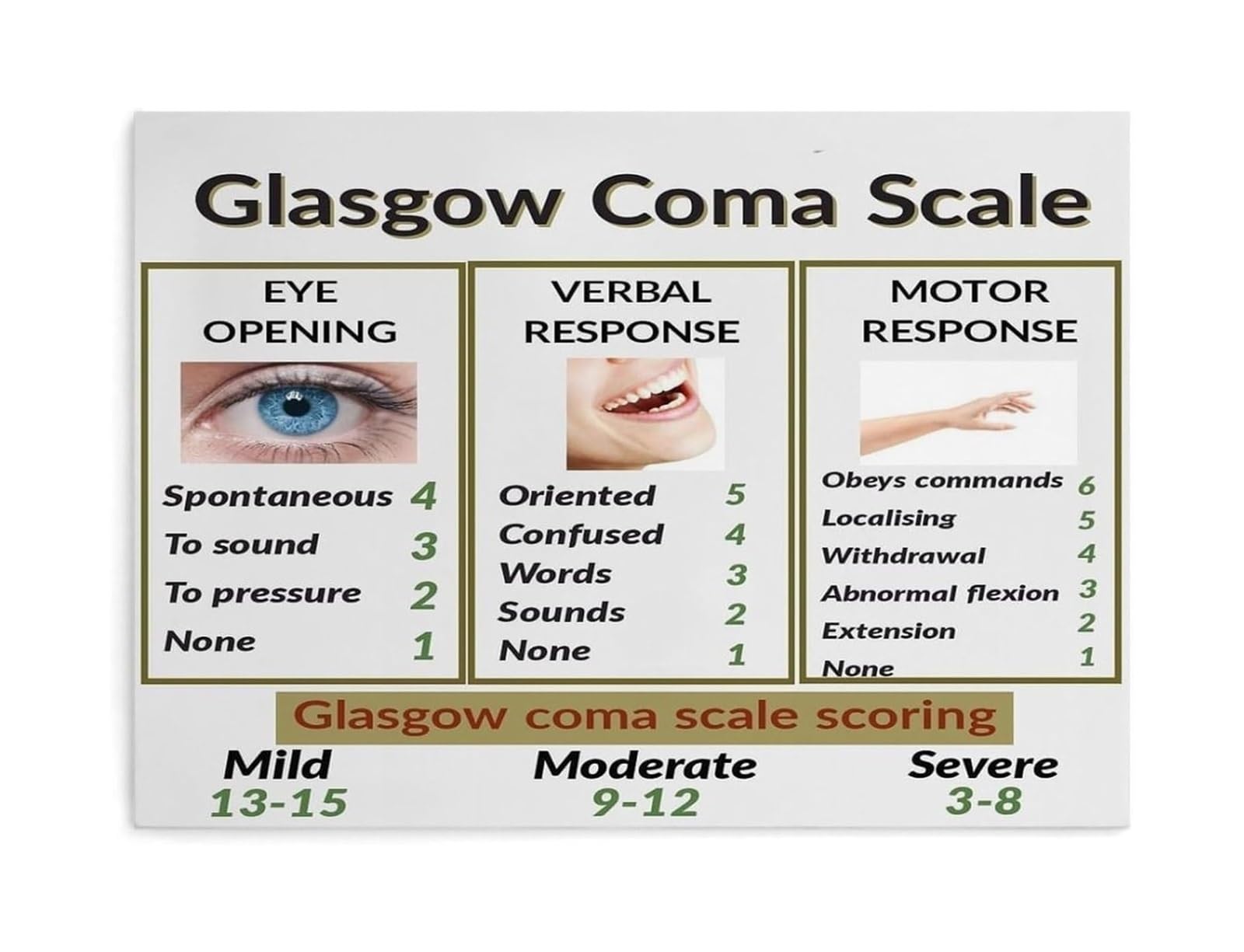 AHNEUUOY Educational Glasgow Coma Scale GCS Canvas Print for Wall Decoration in Living Room Office(Unframed,16x24inch(40x60cm))