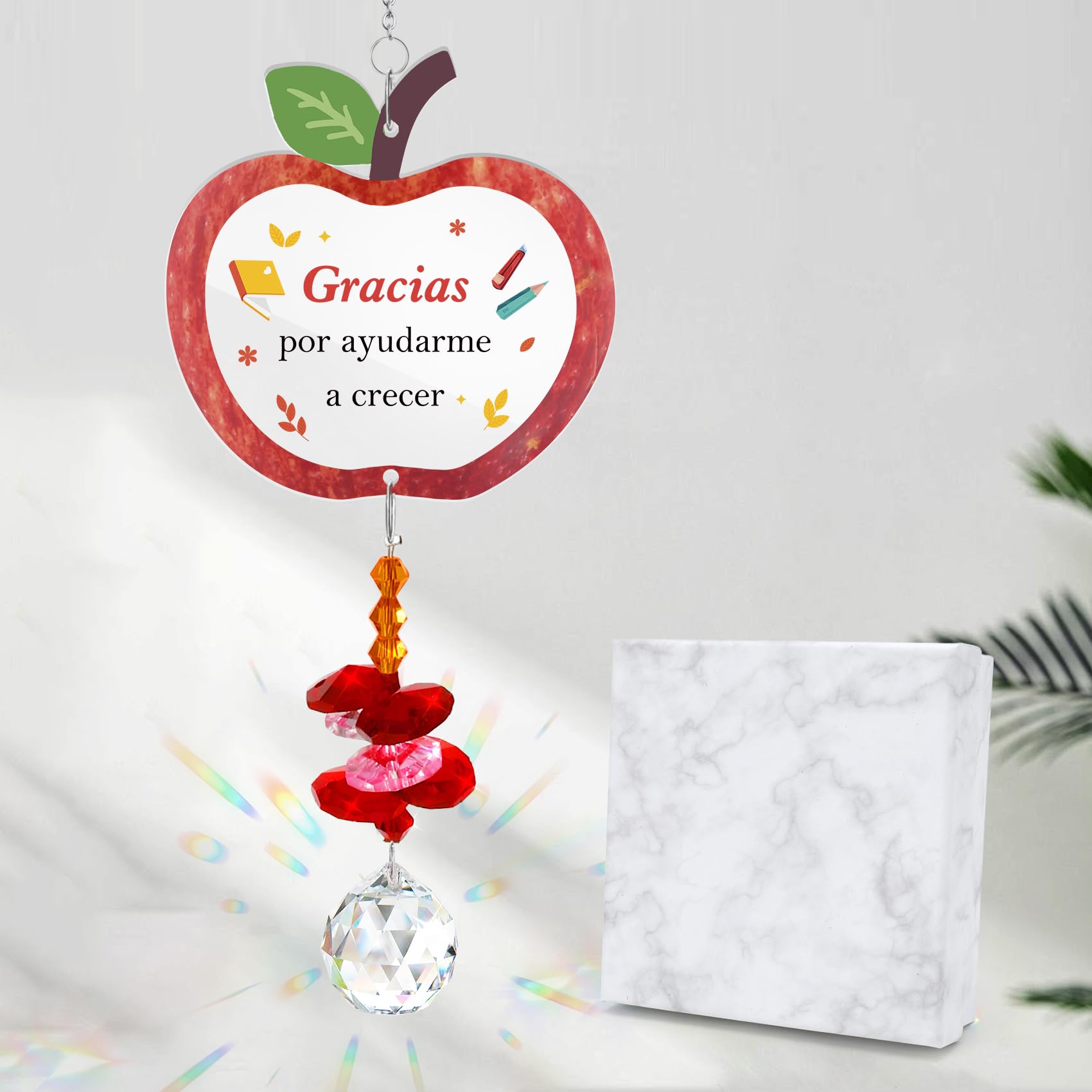 Regalo para Profesora Atrapasoles Regalo Profe Maestra Cumpleaños Regalos Profesora Primaria Guarderia Ideas Regalos Profesor de Infantil Originales Fin de Curso Navidad Reyes San Valentín