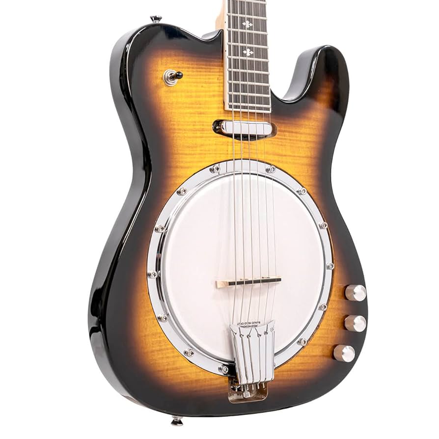 Amazon.com: Gold Tone ES-Banjitar Electric Banjo (Six String