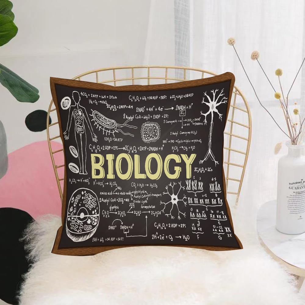 HYOSXW Cushion Cover,Throw Pillow Case Home Decorative for Living Room Bedroom Sofa Chair 16X16 Inch,Hand drawn biology on chalkboard.,Pillowcase 40X40cm