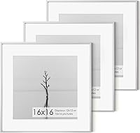Vista 641 de Fun Memories Portarretratos de metal de 16 x 20 pulgadas con paspartú de 11 x 14 pulgadas, acabado de aluminio cepillado, parte delantera de vidrio
