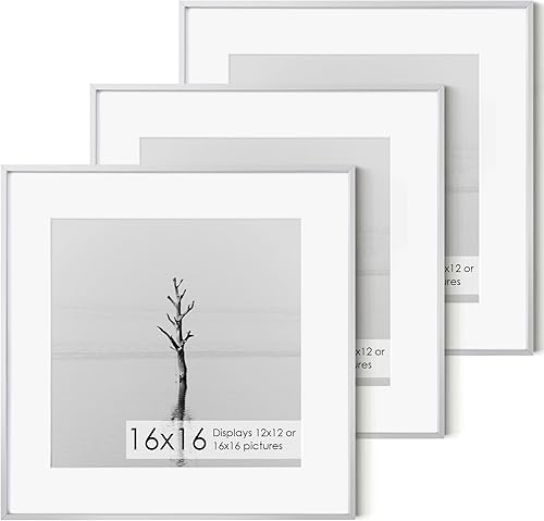 Miniatura 641 de Fun Memories Portarretratos de metal de 16 x 20 pulgadas con paspartú de 11 x 14 pulgadas, acabado de aluminio cepillado, parte delantera de vidrio