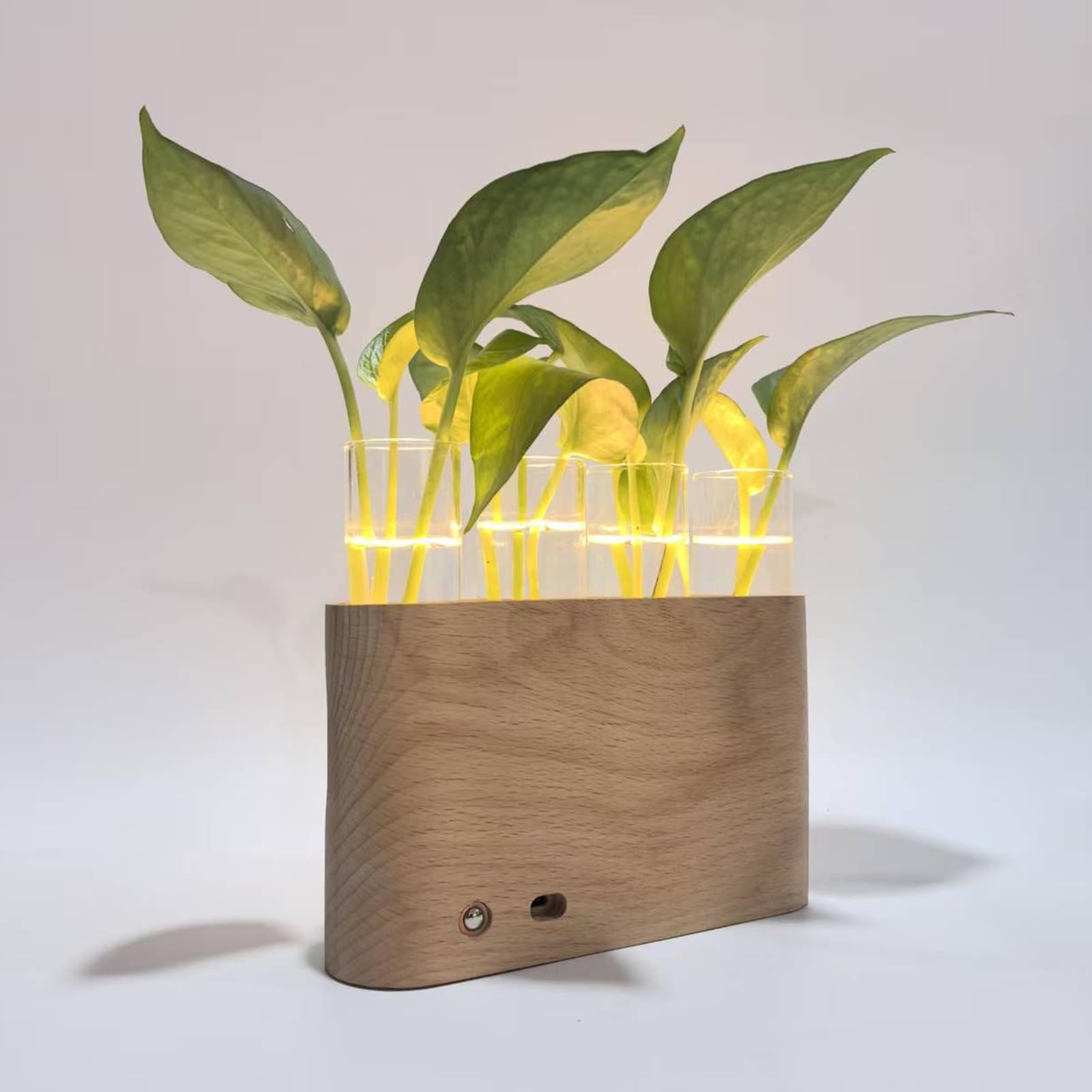 Vase De Propagation Terrarium avec Éclairage LED Réglable