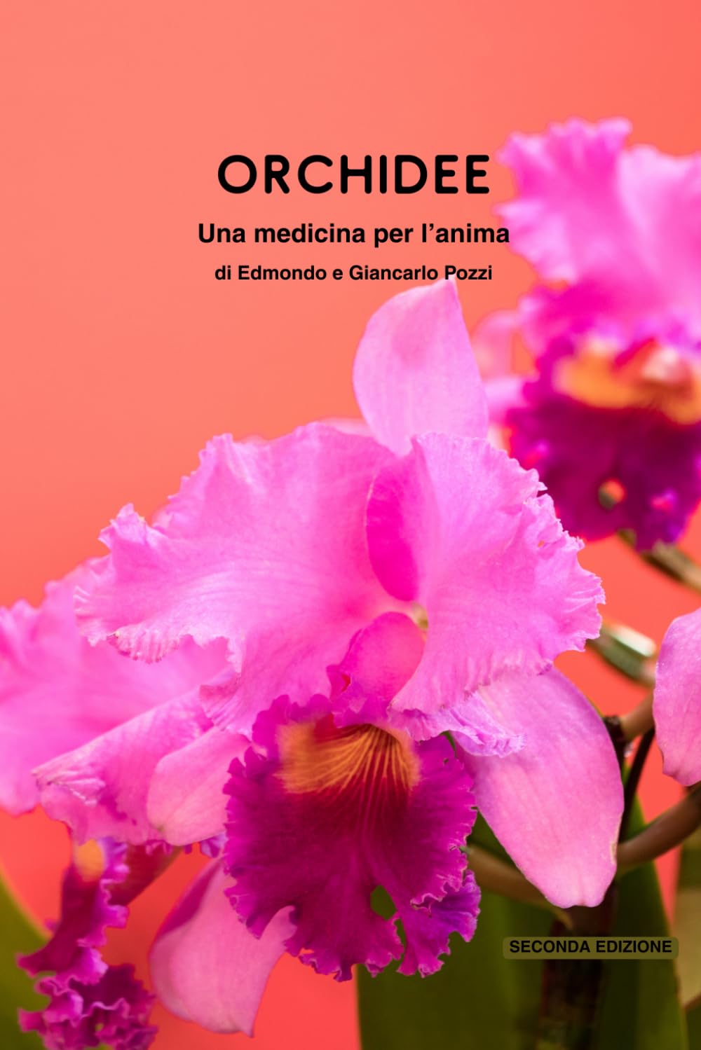 Orchidee: una medicina per l’anima
