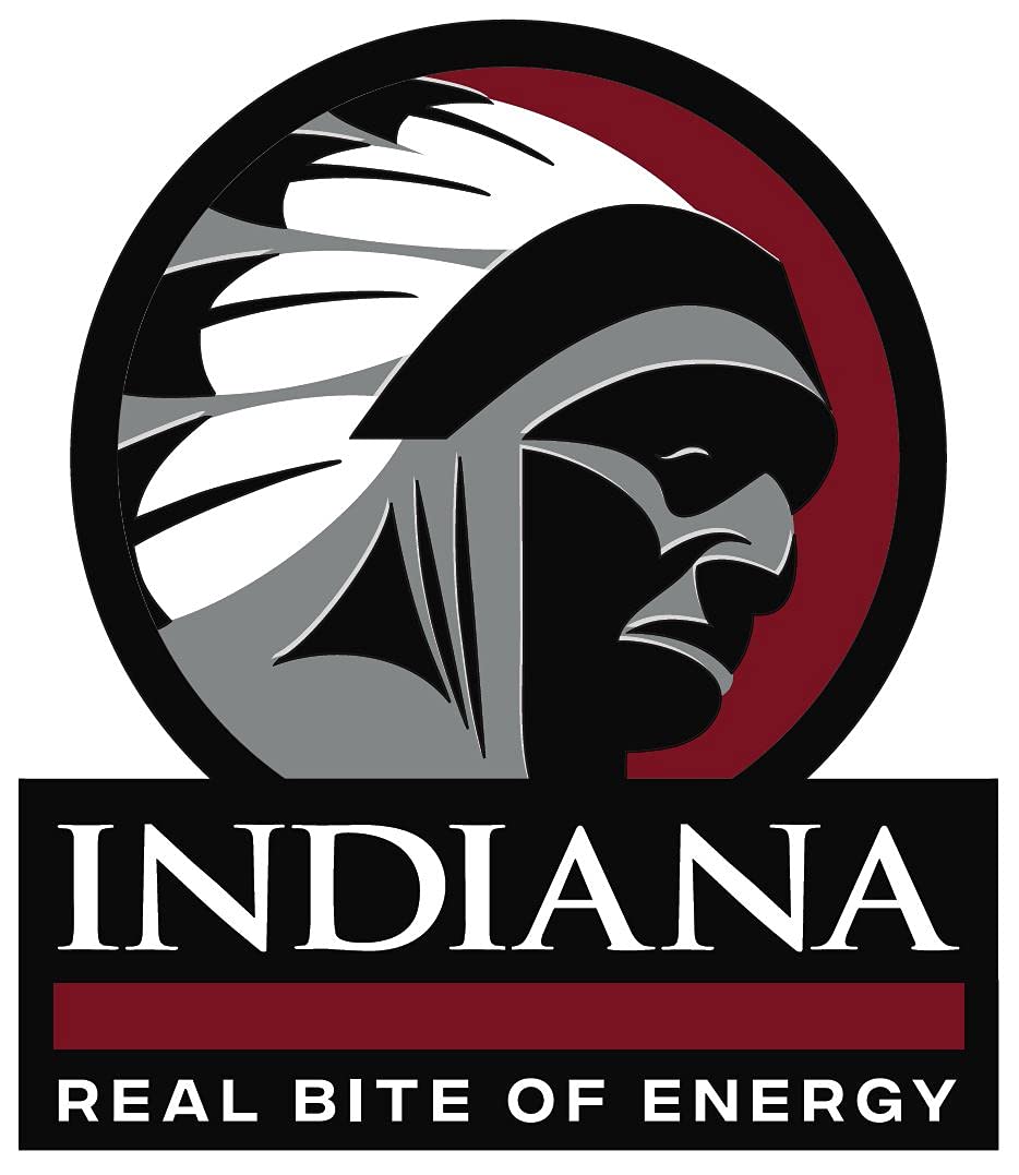 Indiana Jerky - Chicken - 25g - Original Outlet