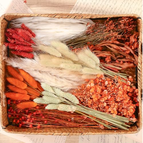 10 Kinds of Dried Flowers for Crafts Burnt Orange Fall