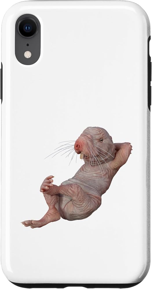 Amazon.com: Live Weird Funny Naked Mole Rat Strange Animal Case Case for iPhone XR : Cell Phones & Accessories Amazon.com: Live Weird Funny Naked Mole Rat Strange Animal Case Case for iPhone XR : Cell Phones & Accessories