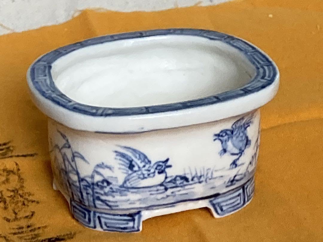 Amazon.co.jp: ［上州勝山］鶉図染付小品盆栽鉢 : DIY・工具・ガーデン