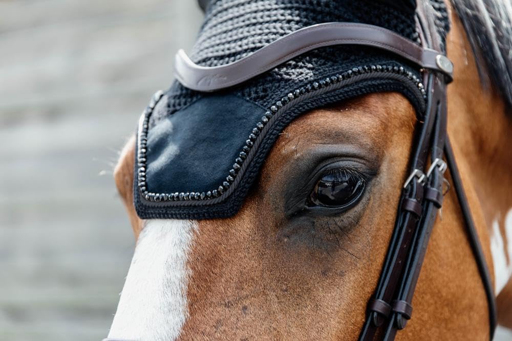 Bonnet Wellington Velvet Pearls - Noir - pour Cheval