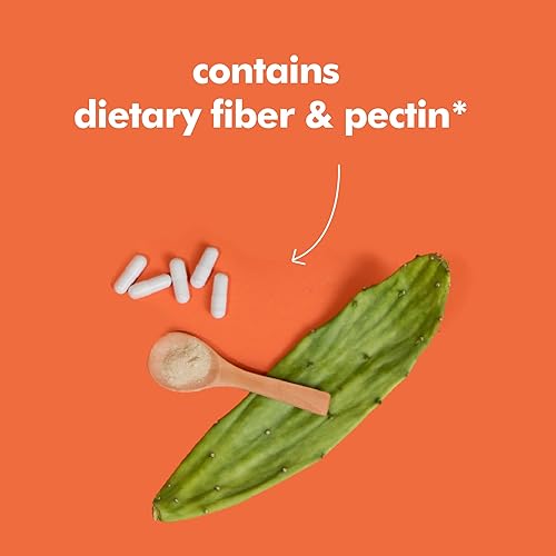 Miniatura 3 de Santo Remedio Nopal, suplemento dietético sin azúcar ni gluten, suplemento dietético de cactus, tuna 700 mg, 180 cápsulas, 90 porciones por envase