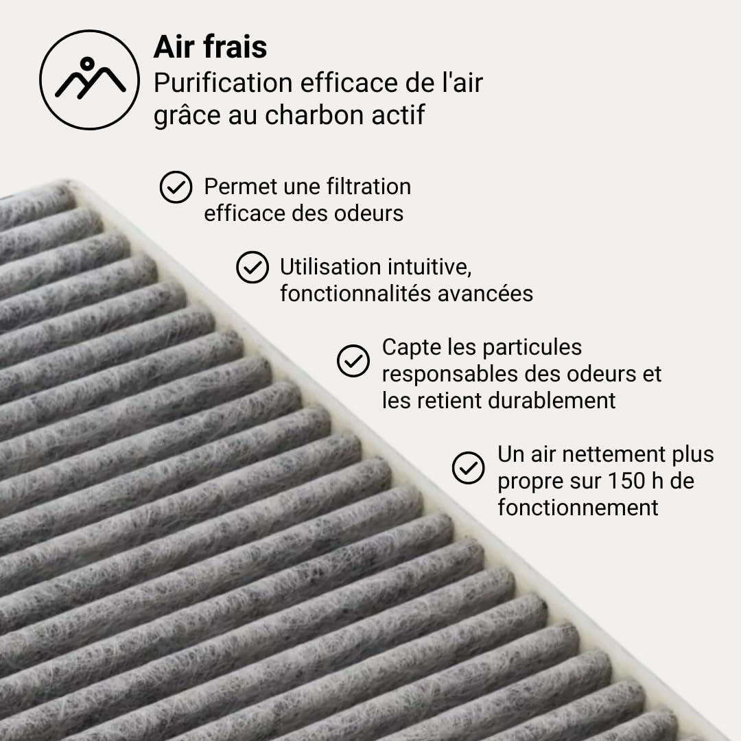 BORA BAKFS Jeu de filtres à Charbon Actif pour Hottes Basic et GP4 (BHU/BIU/BFIU), Filtres de Rechange d’Origine, 2 pièces