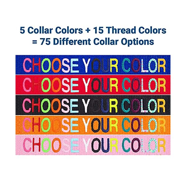 Gotags personalized cat collars with breakaway safety release buckle, custom embroidered cat collar with pet name and phone number, adjustable nylon id collar with bell for cat or kitten - image 6