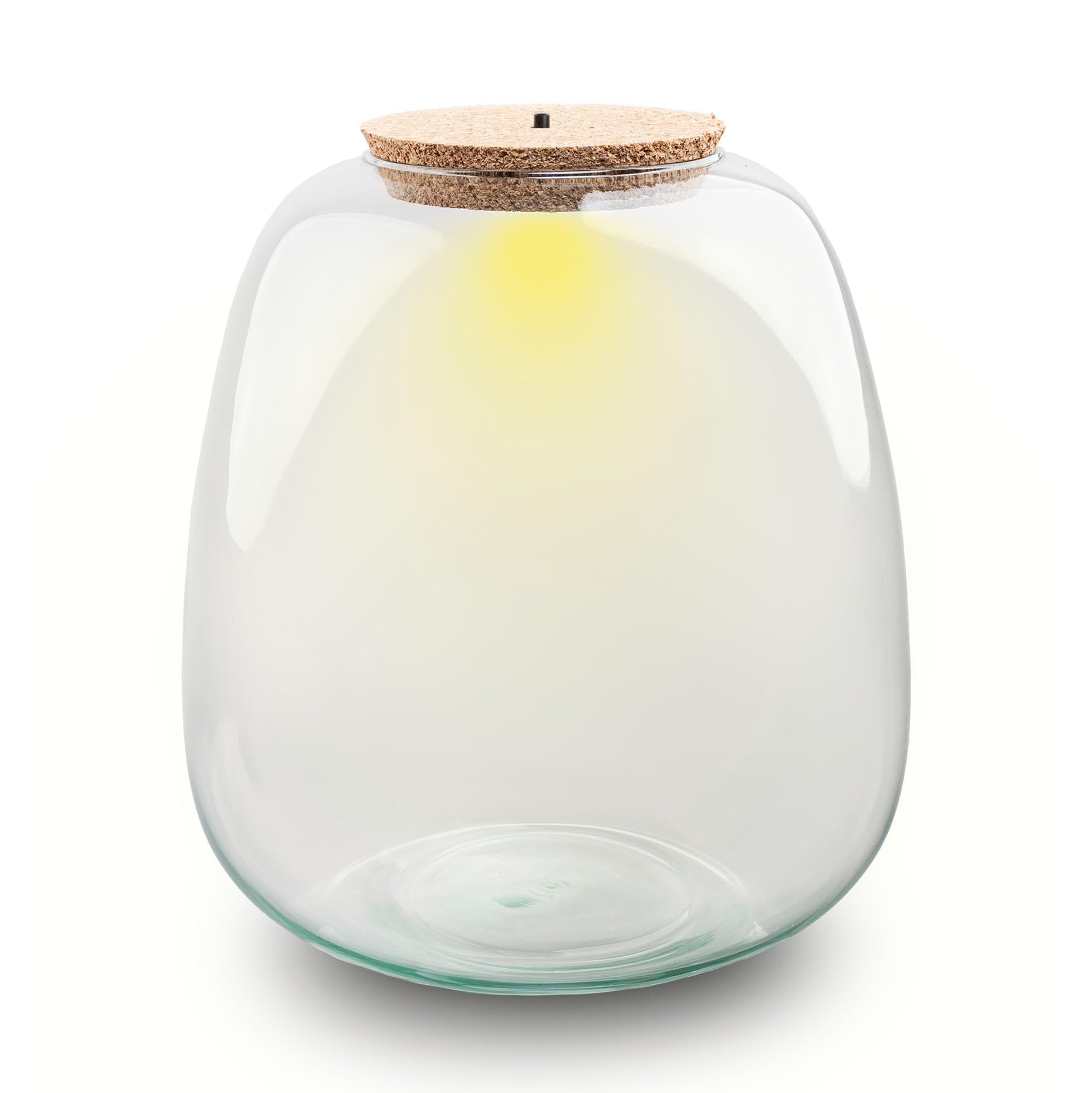 urbanjngl - Terrarium Glas 'Emma' mit LED-Korken - Geschlossenes Terrarium Ø 23 cm, Höhe 25 cm - Ideal für Pflanzen und Dekoration, modernes Design