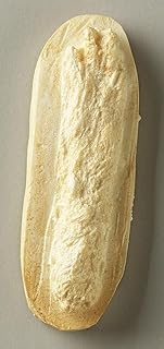 Nature-Watch Rabbit Track Replica