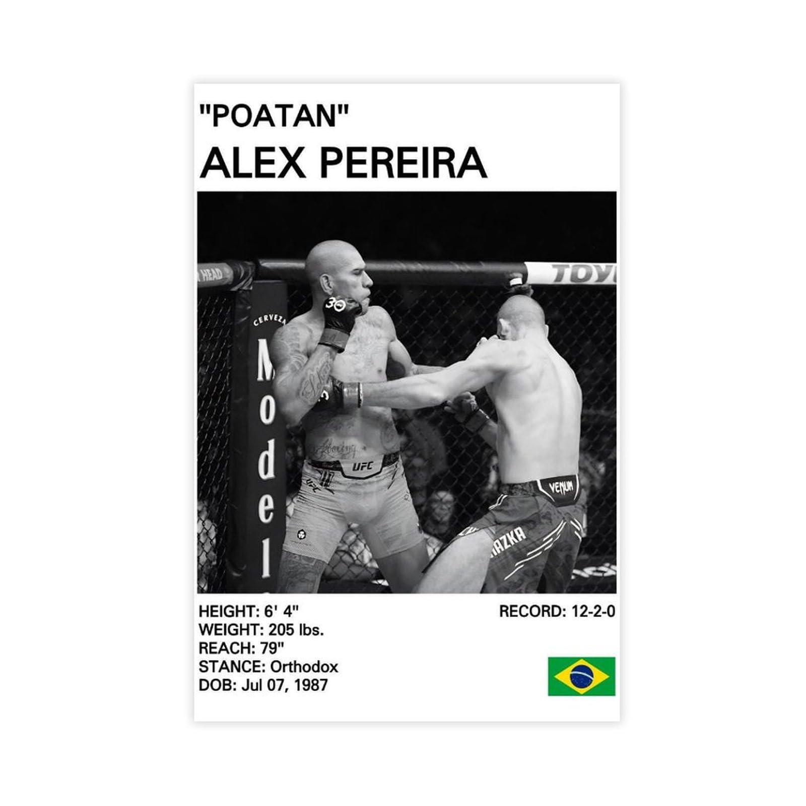 SFQQE Alex Pereira Poster Canvas Poster Wall Art Decor Print Picture Paintings for Living Room Bedroom Decoration 12x18inch(30x45cm)