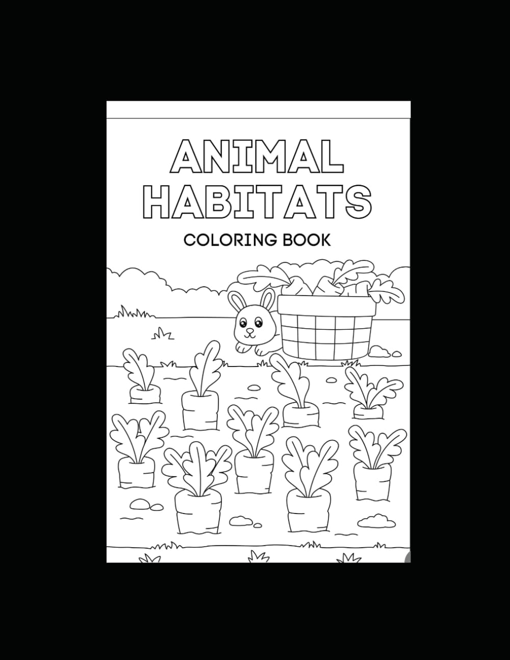 Animal Habitats Coloring Book