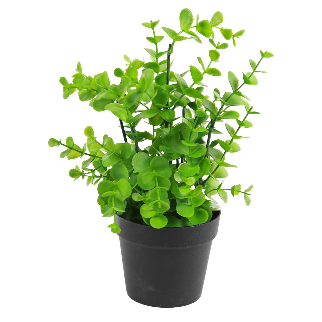 SN Decor Mini Potted Fake Plants Artificial Plastic Eucalyptus Plants for Home Office Desk Room Decoration Indoor and Outdoor 1Pc Small Boxwood Bush 10inch Tall Topiary in Black Pot - New