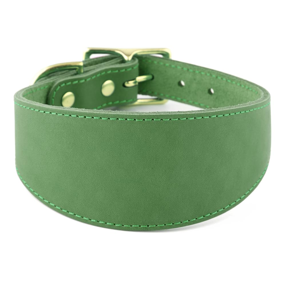 Snootiful Hound Leather Sighthound Collar | Fishtail Collar Ideal For Whippets, Greyhounds and Lurchers (Green, 35-43cm)