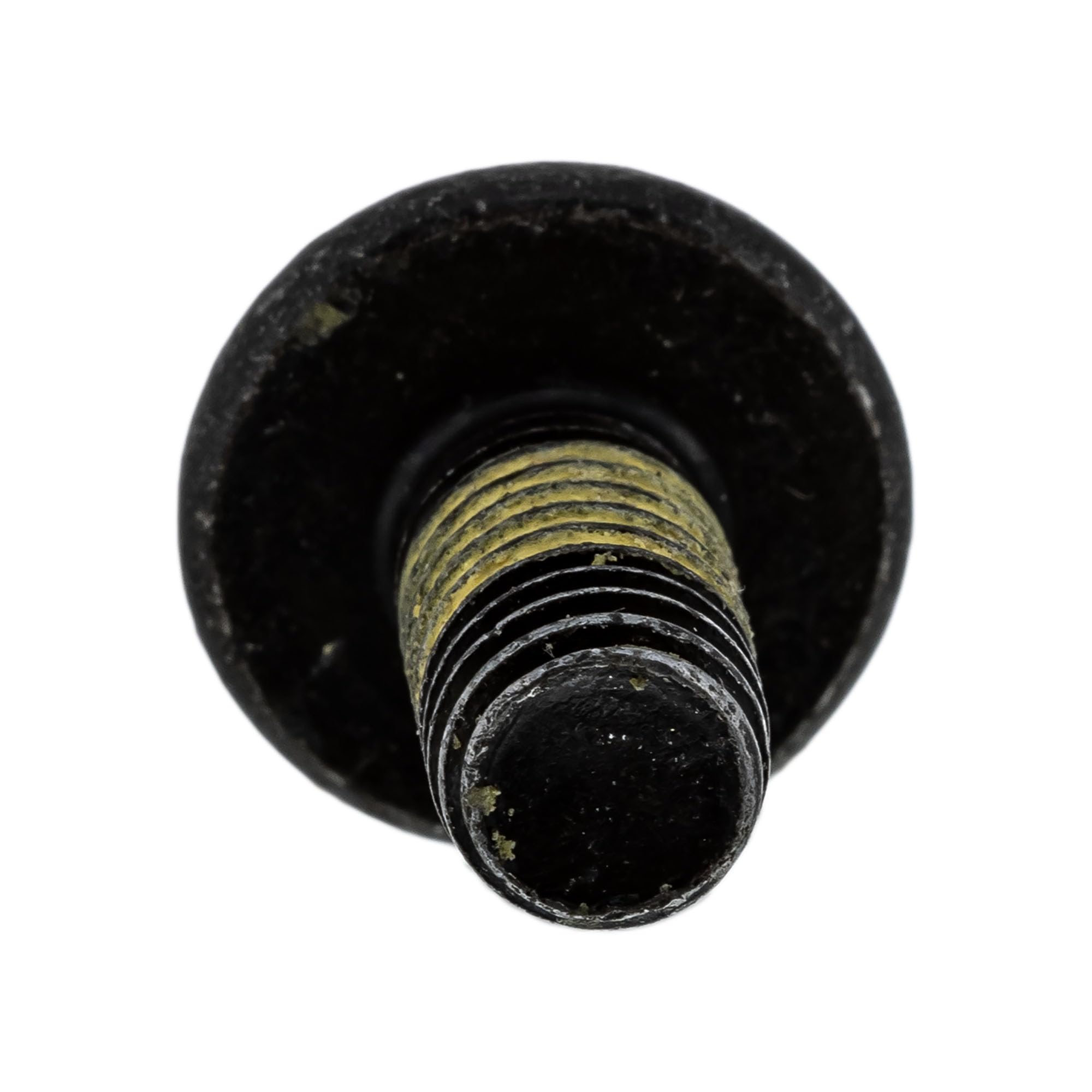 Amazon.com: Polaris Timbersled Screw, Genuine OEM Part 7520311 
