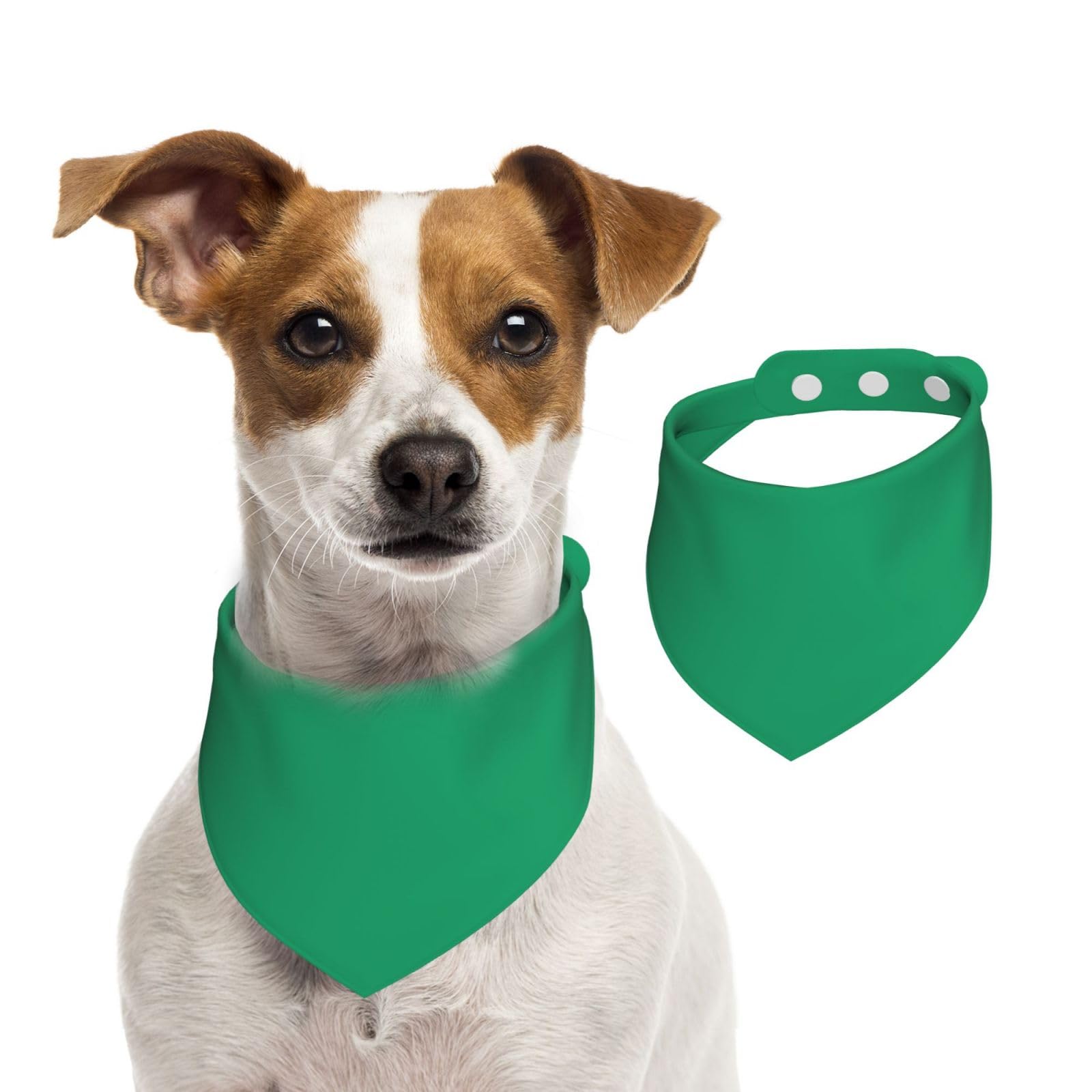 Jade Green Double Sided Dog Bandanas - Cotton Reversible Pet Scarf for Small Large Dogs - Unique Print Puppy Accessories