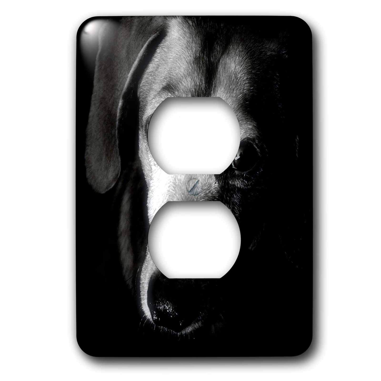 Cache-prise Teckel noir 3dRose pour 2 prises murales standard
