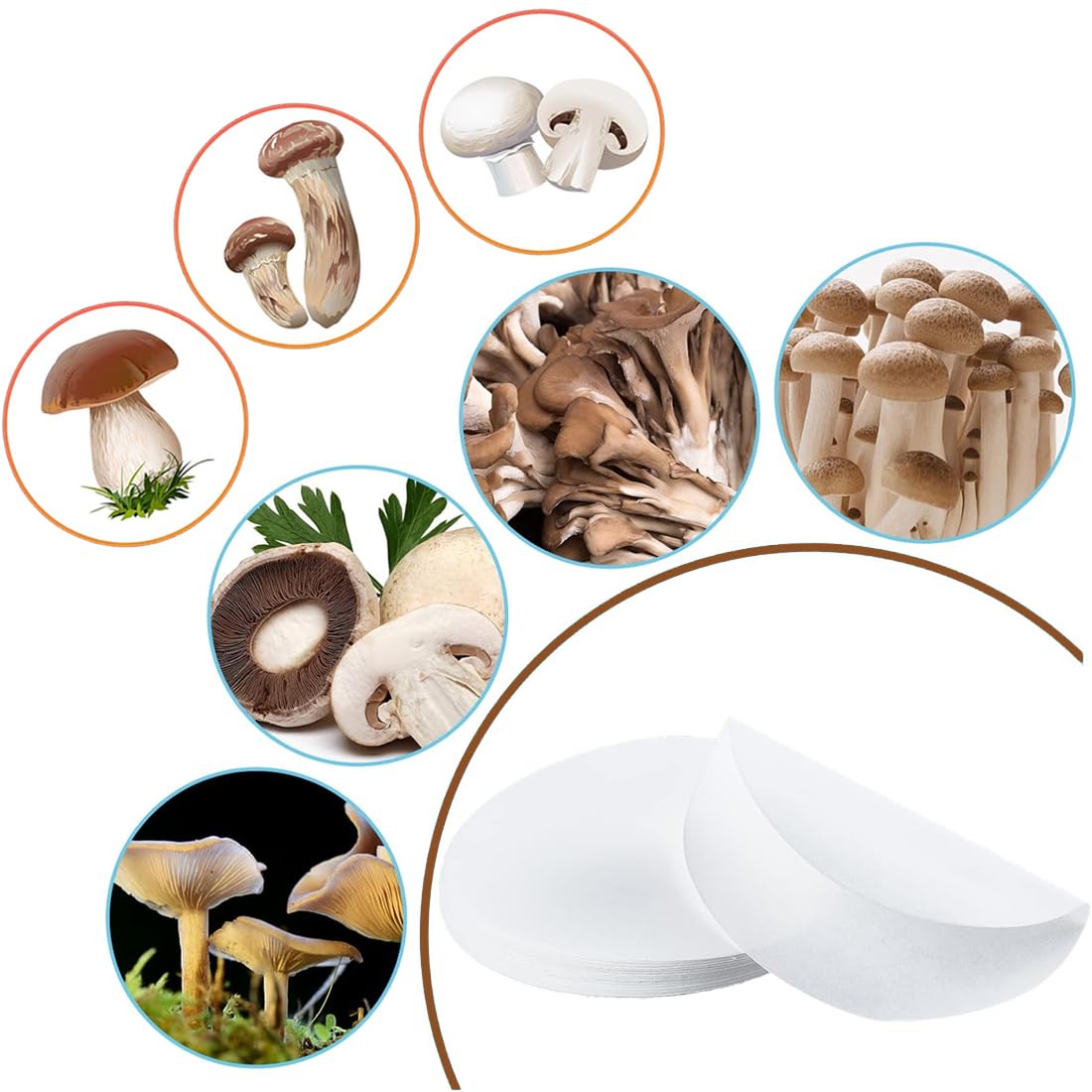 100 Pcs Papier Filtre Qualitatif Débit Moyen Feuilles de Papier Filtre de Laboratoire à Débit Moyen 11 cm Dia Laboratoire Filtration Fournitures de Laboratoire Filtre Papier Rond