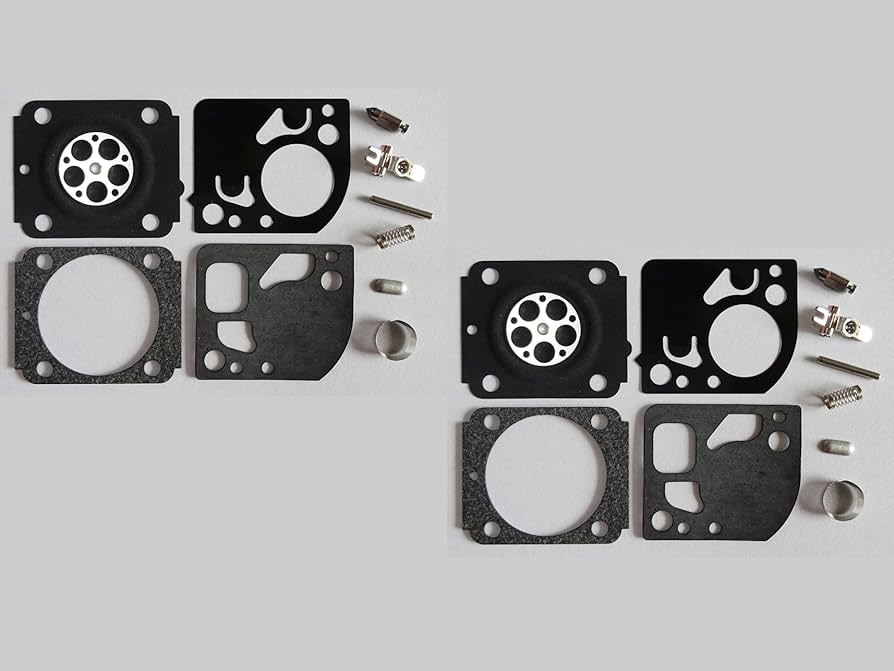Amazon.com: C·T·S Carburetor Repair/Rebuild Kit Replaces