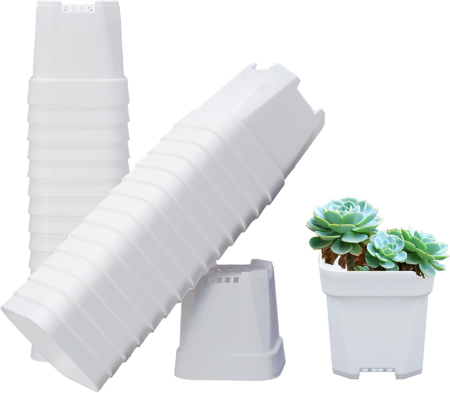 ZEZUT 90 Pack Nursery Pots,Small Plastic Pots, 2.5 Inch Square Planters,Mini Plants Pots with Drainage Hole, White Tiny Planter for Indoor, Outdoor, Succulents, Flower,Cactus