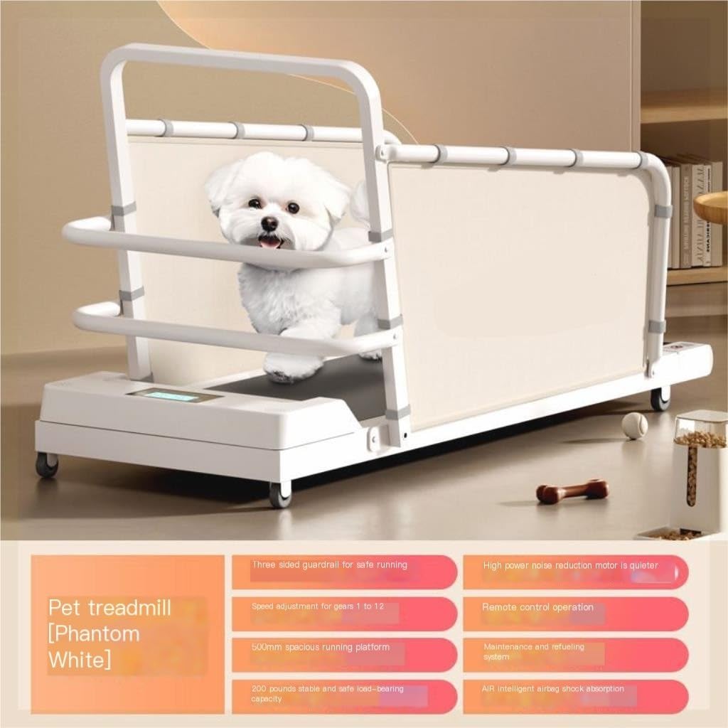 Amazon.co.jp: 猫回し車 ペット猫と犬用トレッドミル 大型、中型、小型