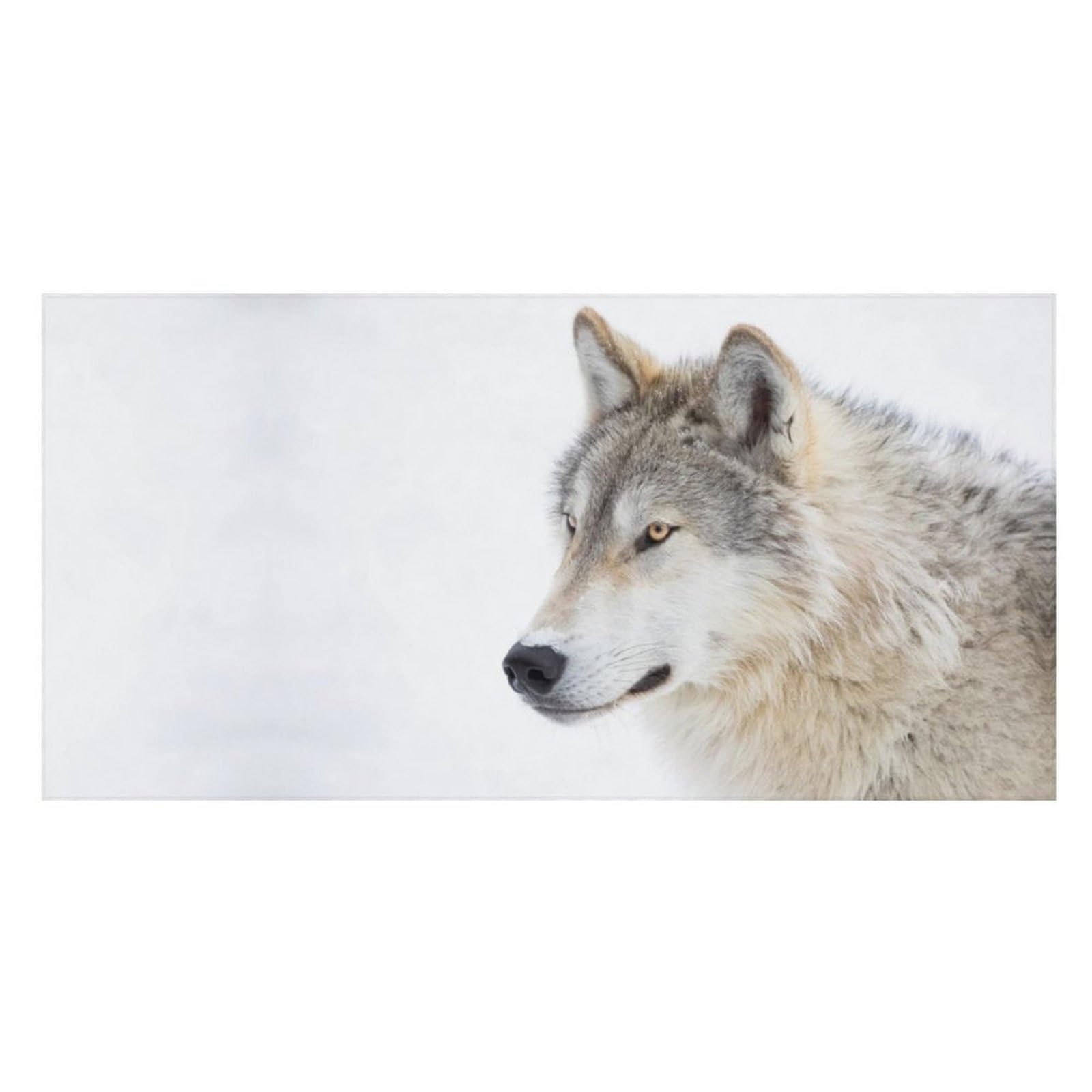 LWORZIIB Beach Towel, Brown Wolf Bath Towel, Pool Towel Great for Gym Swimming 80 X 160cm
