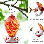 REZIPO Hummingbird Nourriture en verre soufflé à la main Nourrisseur d'oiseaux pour l'extérieur Patio Large 32 Ounces Capacité de nectar colibri avec crochets suspendus, corde, pinceau et carte de service