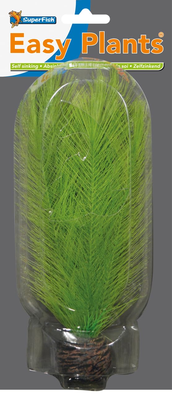 Superfish Easy Plant High 20cm No 11 avec socle lesté pour zone médiane