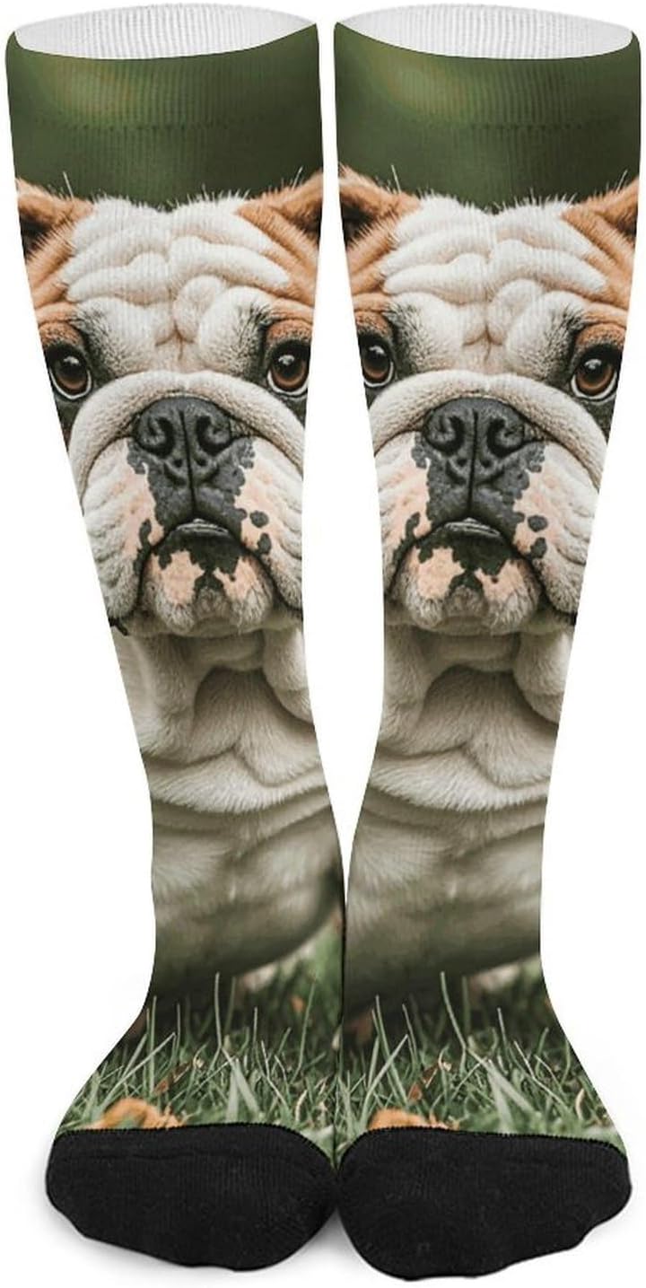Knee High Socks English Bulldog Dog Long Tube Boot Seamless Toe